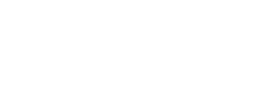 BS Logo weiss Footer